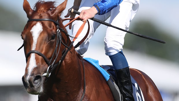 Masar-Horse-Racing