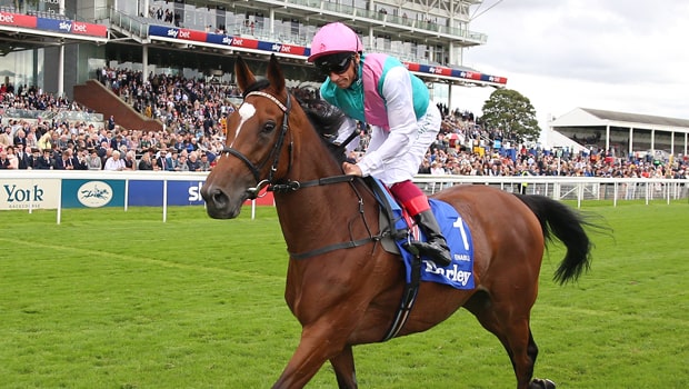 Enable-Frankie-Dettori-Horse-Racing