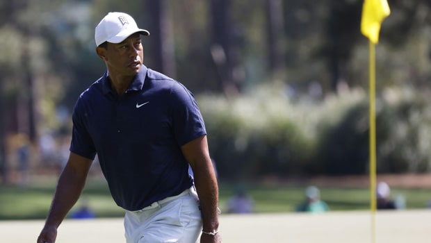 Tiger Woods Golf