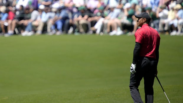 Tiger Woods Golf